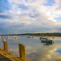 Paradise Dolphin Cruises photo