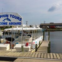 Paradise Dolphin Cruises photo