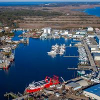 Paradise Dolphin Cruises photo