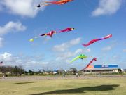 Kitty Hawk Kites, Outer Banks Kite Festival