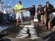 Pirate's Cove Marina, Cobia @ Pirate's Cove