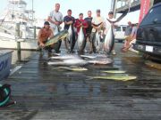 Pirate's Cove Marina, Limits of Dolphin and Bigeye!
