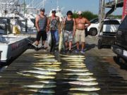 Pirate's Cove Marina, Mahi, Tuna, and Marlin!