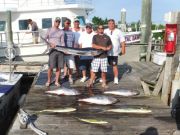 Pirate's Cove Marina, Tuna Dolphin and White Marlin!
