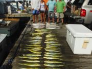 Pirate's Cove Marina, Mahi and Marlin!