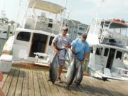 Pirate's Cove Marina, Blue Marlin!