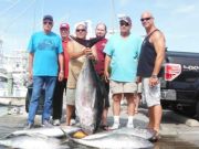 Pirate's Cove Marina, Tuna and Marlin Releases