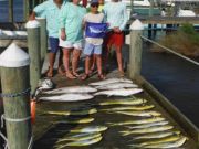 Pirate's Cove Marina, Dolphin & Amberjack...