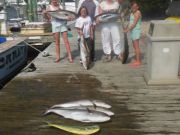 Pirate's Cove Marina, Mixed Bag