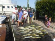 Pirate's Cove Marina, Mahi and Wahoo