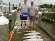 Pirate's Cove Marina, Marlin release