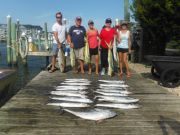 Pirate's Cove Marina, Sailfish and Dolphin