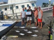 Pirate's Cove Marina, Great mixed bag!