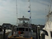 Pirate's Cove Marina, Mixed Bag and Citations!
