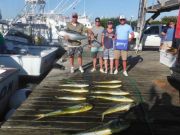 Pirate's Cove Marina, lots of Billfish!