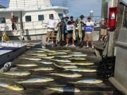 Pirate's Cove Marina, Mahi!