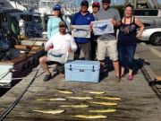Pirate's Cove Marina, Marlin!