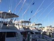 Pirate's Cove Marina, Fish Cleaning and Flags Flyin'