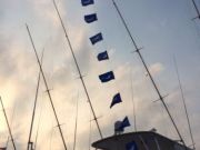 Pirate's Cove Marina, Fishing Frenzy!