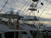 Pirate's Cove Marina, Mackerel, Mahi and Marlin OH MY