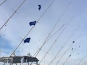 Pirate's Cove Marina, Meat and Marlin!
