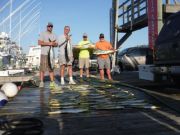 Pirate's Cove Marina, Mahi and Tuna!