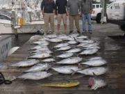 Pirate's Cove Marina, Mixed Bag