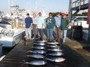 Pirate's Cove Marina, Tuna!