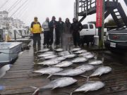 Pirate's Cove Marina, Good Rainy Day Fishing!