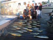 Pirate's Cove Marina, Mahi and Yellowfin!