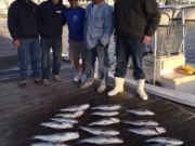 Pirate's Cove Marina, Sound Fishing!