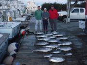 Pirate's Cove Marina, Yellowfin Tuna at Pirate's Cove