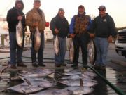 Pirate's Cove Marina, Tuna!