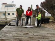 Pirate's Cove Marina, Yellowfin Tuna!