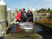 Pirate's Cove Marina, TUNA TIME!