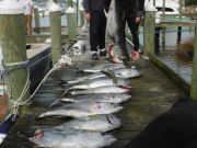 Pirate's Cove Marina, Fantastic Fishing!
