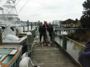 Pirate's Cove Marina, Bring on the Blues!