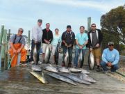 Pirate's Cove Marina, Tuna, Gaffers and Wahoo!