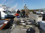 Pirate's Cove Marina, Box Full Of Tuna!