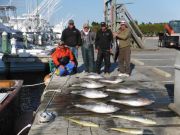 Pirate's Cove Marina, Box Full Of Tuna!