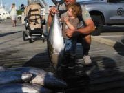 Pirate's Cove Marina, Tuna and Dolphin!