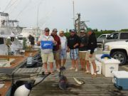 Pirate's Cove Marina, White Marlin-Bluefish