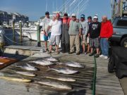 Pirate's Cove Marina, Tuna and Dolphin!
