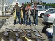 Pirate's Cove Marina, Meatfish Slam!