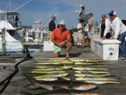 Pirate's Cove Marina, Yellowfin, Dolphin, and Cobia!