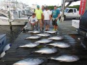 Pirate's Cove Marina, Dolphin and Tuna!