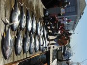 Pirate's Cove Marina, Catchin limits early at Pirate's Cove Marina