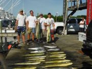 Pirate's Cove Marina, Meatfish Monday!