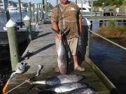 Pirate's Cove Marina, More Of Monday's Catch