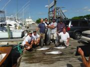 Pirate's Cove Marina, Tuna, Dolphin...